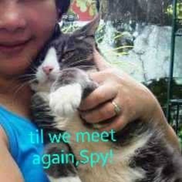 ms_ecp